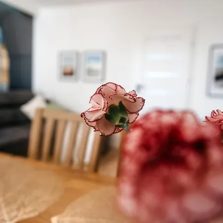 Appartement Sloneczne Tarasy Emimar - Private Sauna